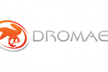 Dromaeus IT Services Web Copy Amy Boylan